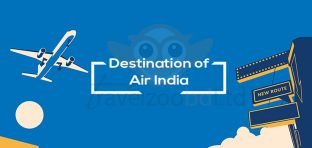 Air India Destination